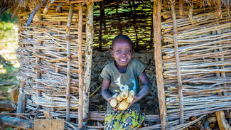 Mais ermöglicht den Familien sich für Dürreperioden zu schützen
