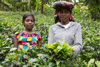 Patenkind Exciba mit ihrer Mutter auf der Teeplantage im Süden Sri Lankas