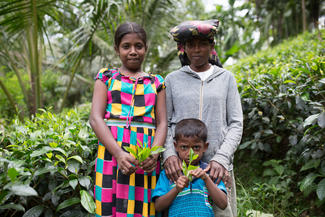 Patenkind Exciba mit ihrer Mutter und Schwester auf der Teeplantage im Süden Sri Lankas