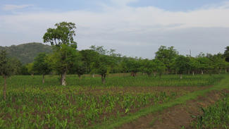 Nach der Anwendung der FMNR Methode