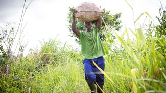 Ein Mann in Ghana trägt einen Sack auf dem Kopf