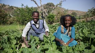 Bauern in Äthiopien