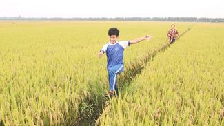 Vietnamesischer Junge in einem Feld