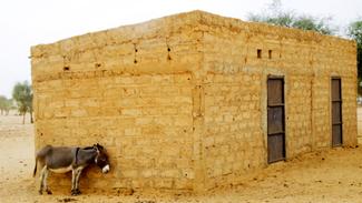 Esel lehnt an typisch mauretanischem Haus mit Flachdach