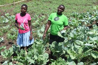 Mitglieder der Waringa-Jugendgruppe betreiben Fischzucht und Gemüseanbau in Kenia
