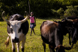 World Vision-Patenkind Praise hilft beim Hüten der Rinder