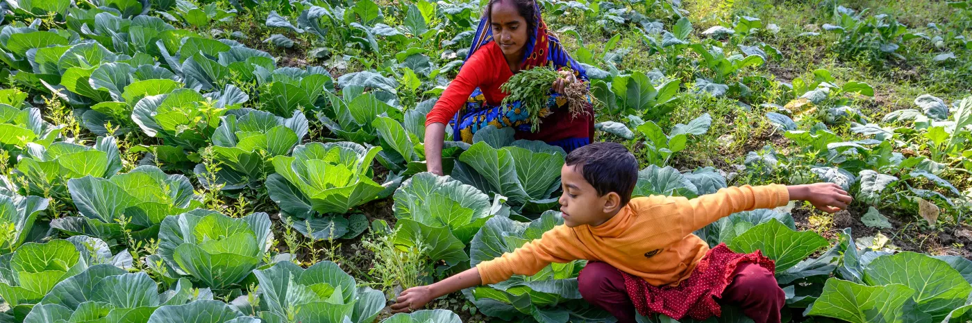 Das Gute Geschenk-Wie Saatgut das Leben verändern kann