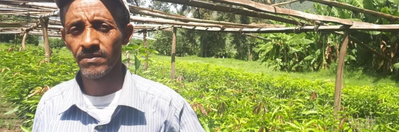 Ecosia Baumschule Kooperation