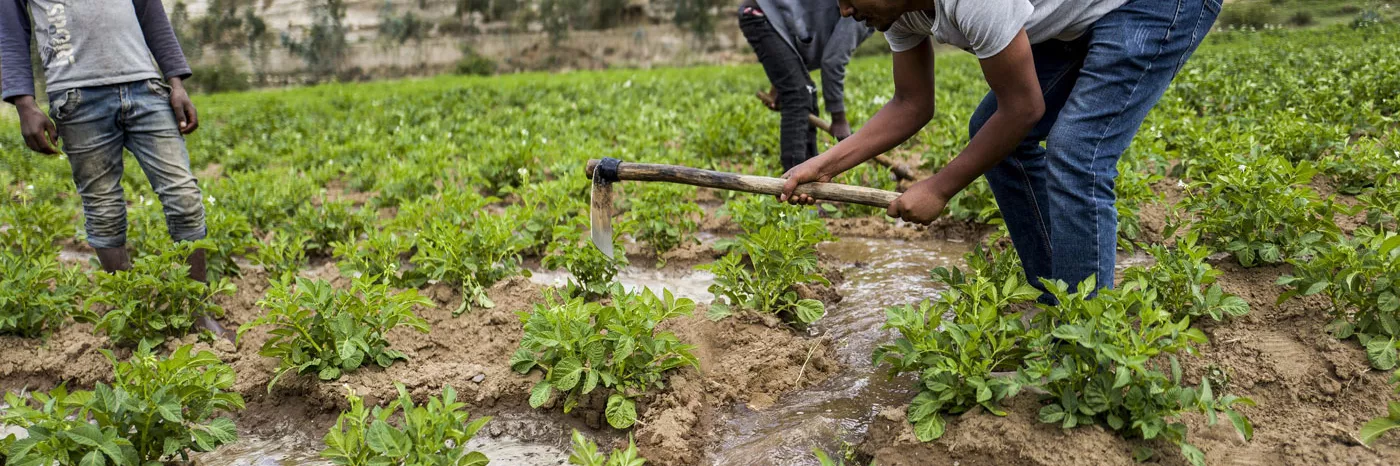 Wassermanagment in Zeiten der Dürre