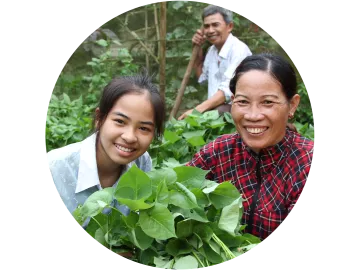 Unterstützung Region