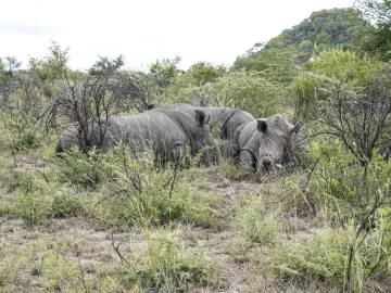 Simbabwe Projektreise