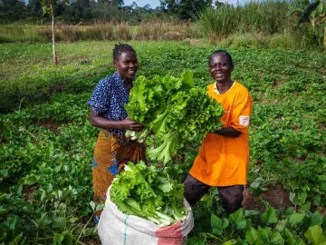 Was sind die Ursachen von Hunger? Ein ungerechter Weltmarkt