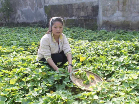 Kind Patenschaft Trieu Phong Vietnam World Vision