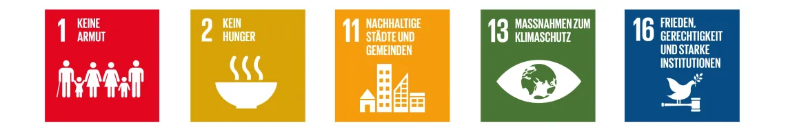 SDG Icons
