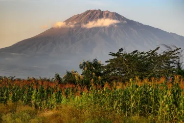 Klimawandel auf dem Kilimandscharo