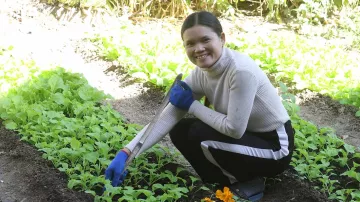 Frau auf ihrem Feld in Kambodscha