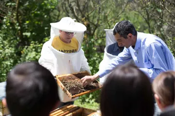 Junger Imker in Georgien