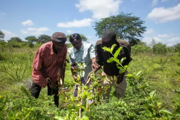FMNR-Botschafter erhalten eine spezifische Schulung, kontinuierliche  Unterstützung und Anerkennung für ihre Arbeit
