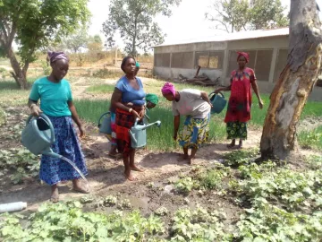 Wirtschaftliche Entwicklung Dabo und Malo