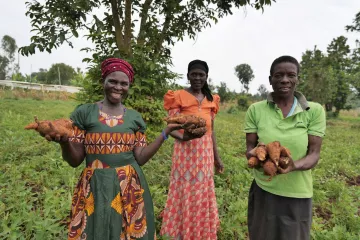 Lebensunterhalt Bild