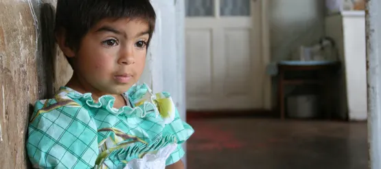 Projektübergabe in Armenien Vardenis