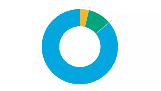 Grafik Mittelverwendung