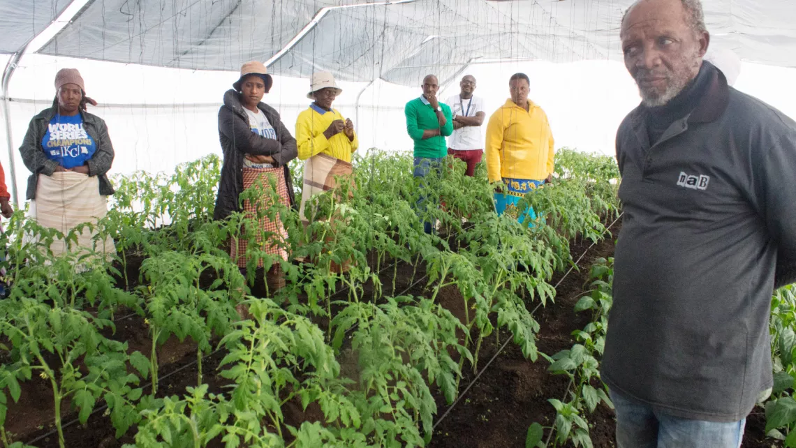 Ernährung sichern - El Nino - Treibhaus - Lesotho