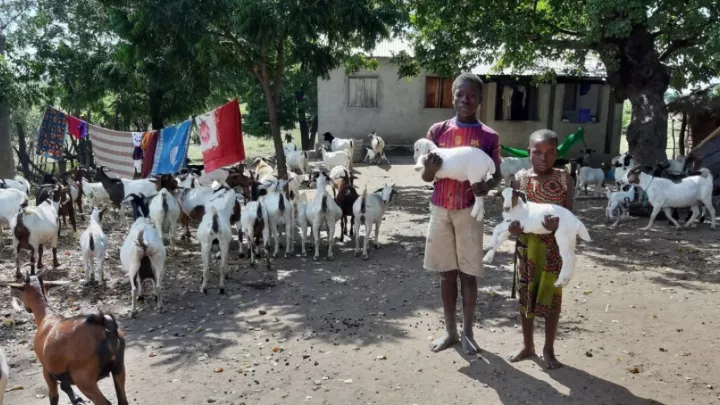 Die Kinder profitieren von einer Ziegenzucht
