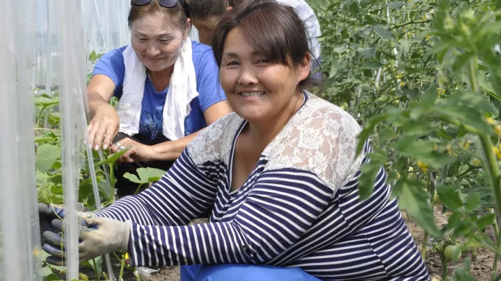 Frauen bei der Ernte