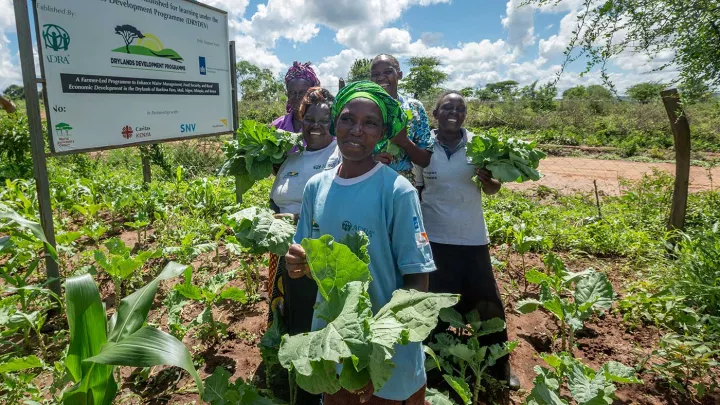 Vorsorgen für Dürrezeiten