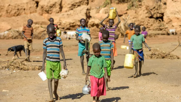 Weg zur Wasserstelle