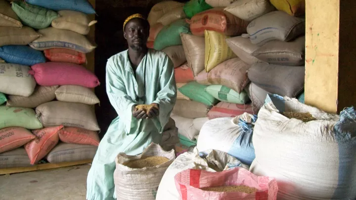 Landwirt mit Getreidesäcken  in einer Getreidebank im Senegal
