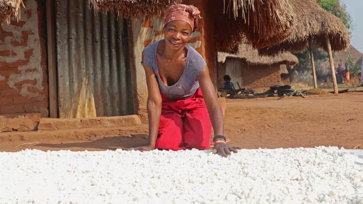 Marie trocknet Cassava-Mehl, um daraus Essen zuzubereiten.