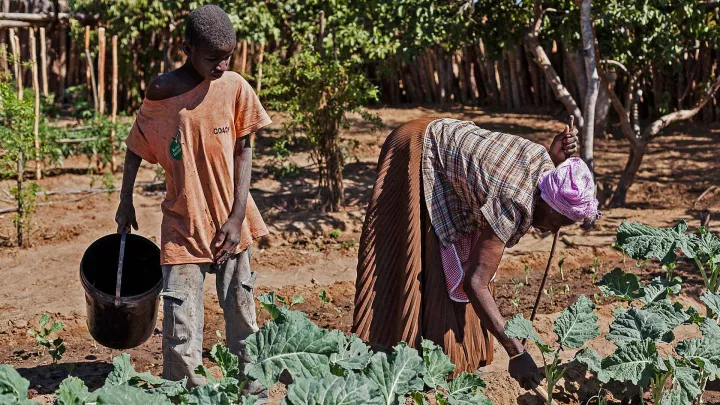 Projekt Tshitshi Madabe