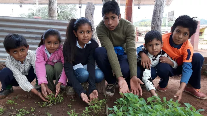 Kinder zeigen den Schulgarten