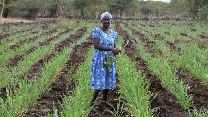 Die Wiederaufforstung erlaubt es Titus Frau, sich im Ackerbau zu versuchen.