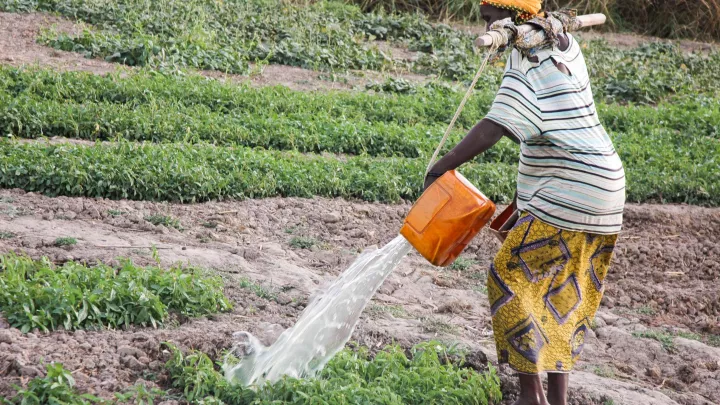 Frau Acker Landwirtschaft World Vision Chari