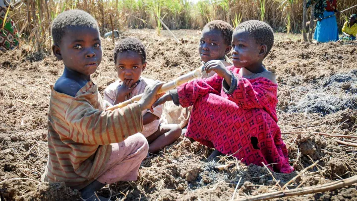 World Vision Entwicklungszusammenarbeit Mosambik Kinder Ernte