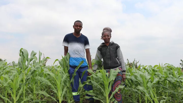Nachhaltige Nahrungsproduktion in ökologischer Landwirtschaft