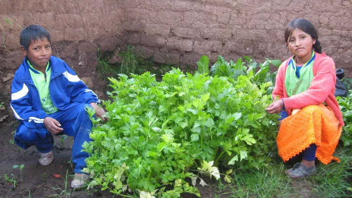 World Vision Gemüsegarten