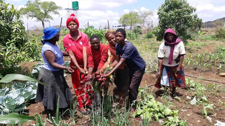 World Vision Maßnahme Schulung in Landwirtschaft