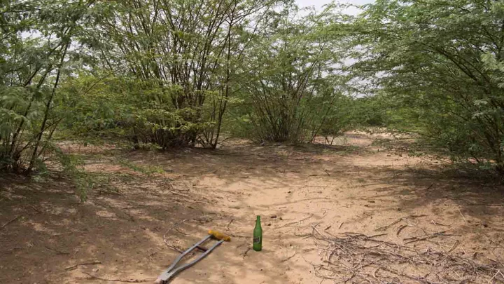 Die Toilette hinter dem Gebüsch