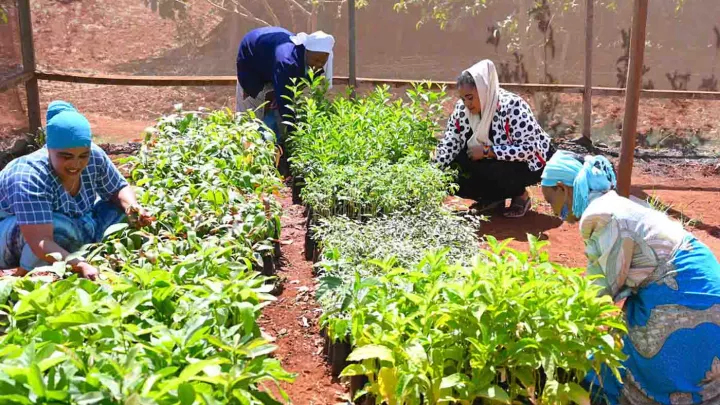 Nahrungsmittelsicherheit gewährleisten