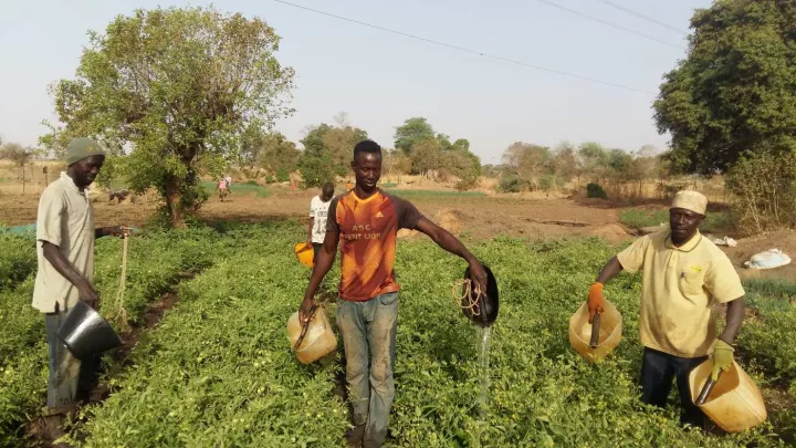 Landwirstcshaft Mabo 