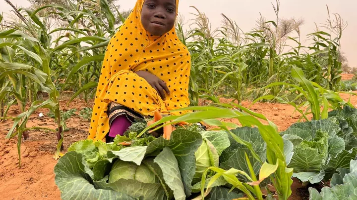 Kind auf einem Gemüsefeld