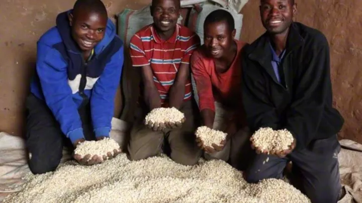 Mehr Ernteerträge dank Patenschaft