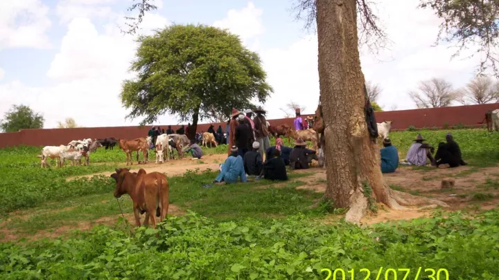 Tierzucht vorher Bild