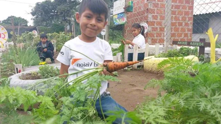 Schulgarten in Bolivien