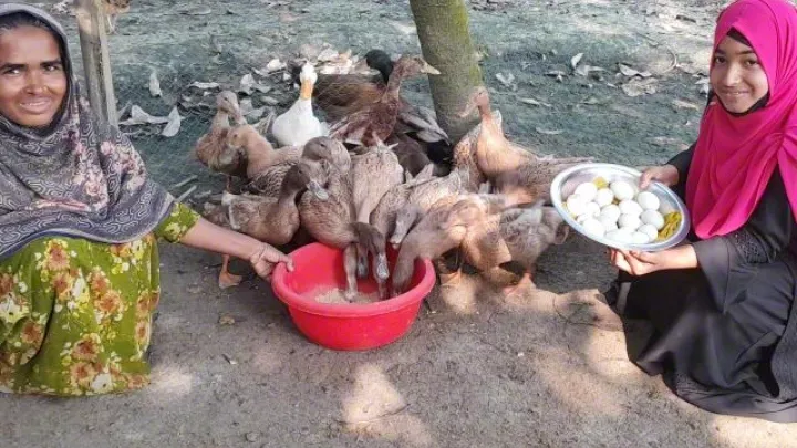 Einkommensmöglichkeiten in Bangladesch