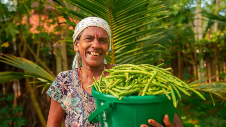 Landwirtschaft, wirtschaftliche Entwicklungen und Umweltschutz